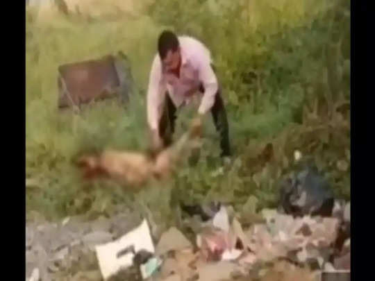 Gwalior News: कुत्ते ने बेटे को काटा तो झोलाछाप डॉक्टर ने लिया बदला, टुकड़े-टुकड़े करने का वीडियो वायरल 