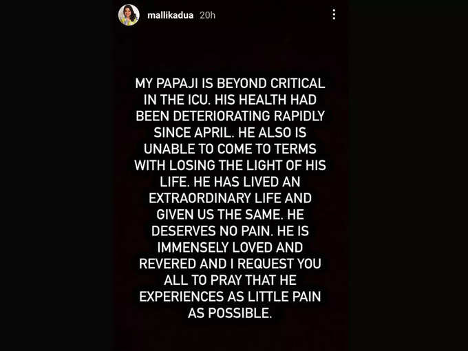 Mallika Dua's Instagram Story