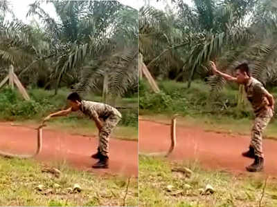 आर्मी के जवान ने पकड़ा विशाल किंग कोबरा, लोग बोले- ये ट्रिक तो गजब है! 