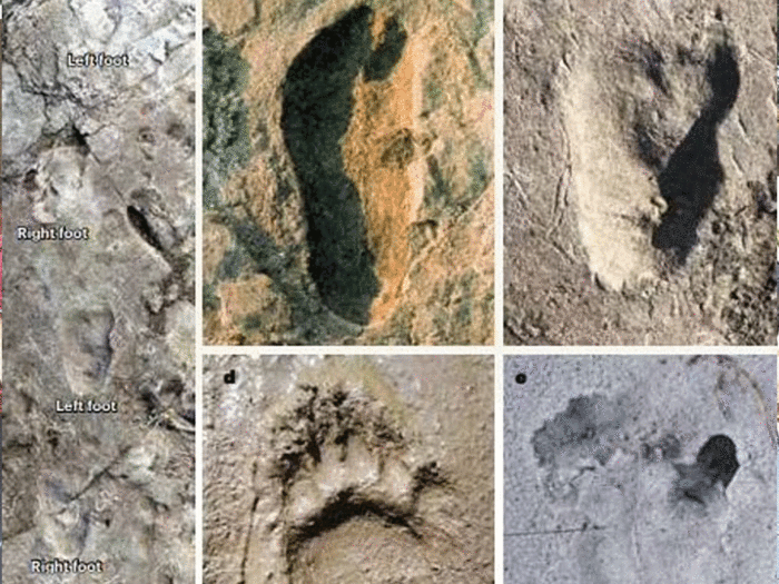 Mysterious footprints discovered in Tanzania