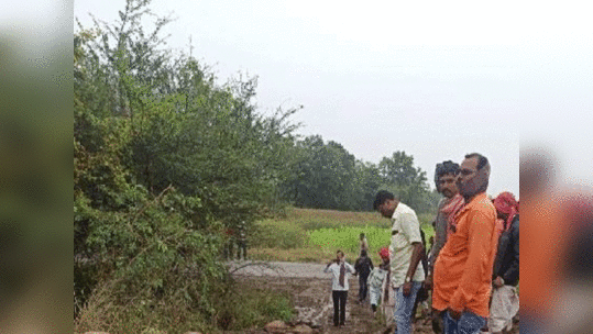 पाऊस आणि गारठ्याचा फटका! नगर जिल्ह्यात मेंढपाळांवर कोसळले 'हे' मोठे संकट