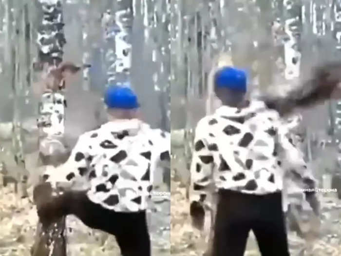 Man Hit A Tree Tree hits him back Video