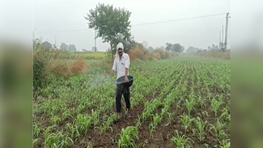 रब्बीच्या हंगामात खतांच्या किंमतीत वाढ, बळीराजाचं कंबरडं मोडणारे नवे दर, पाहा...