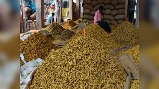 बळीराजाचं पिवळं सोनं चकाकलं, हळदीचे दर वाढल्याने शेतकऱ्यांना दिलासा