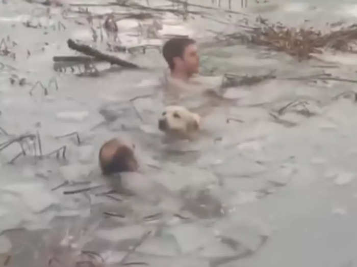 Dog Rescue From Frozen Lake