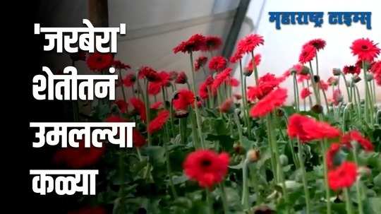 Yavatmal : आत्महत्याग्रस्त जिल्ह्याची ओळख पुसून टाकण्यासाठी तीन मित्रांचा अभिनव प्रयोग