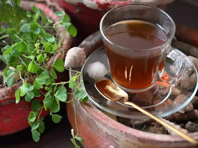 how to use herbs for diabetes in tamil: Herbs for Diabetes : சர்க்கரை நோயாளிகளுக்கான மூலிகைகள் என்னென்ன? அளவு ? எப்படி சாப்பிடுவது? 4 samayam tamil Tamil News Spot
