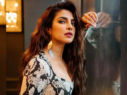 Priyanka Chopra On Struggle In Hollywood: प्रियंका चोपड़ा को 10 साल के  स्ट्रगल के बाद हॉलिवुड में मिला मनचाहा काम, बोलीं- साउथ ऐशियन ऐक्टर्स के  लिए बहुत मशक्कत ...