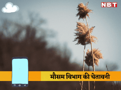 Rajasthan Weather Warning: मौसम विभाग ने अगले 3 दिन घने कोहरे की चेतावनी दी, कई इलाकों में बारिश भी