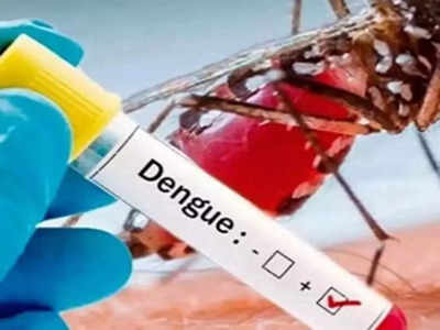 दिल्ली में डेंगू का कहर, 6 नाबालिग समेत 23 लोगों की मौत, 9,500 से ज्‍यादा मामले 