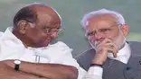 NBT
