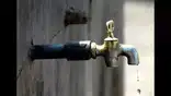 NBT