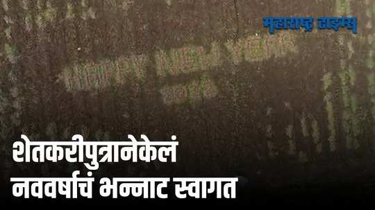 कांद्याच्या मदतीने शेतात साकारली जबरदस्त कलाकृती