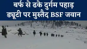 NBT