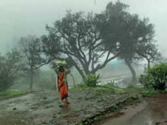 Maharashtra Rain News: उत्तर महाराष्ट्र, मराठवाड़ा में बारिश... विदर्भ में ओले! अगले चार दिन महत्वपूर्ण 