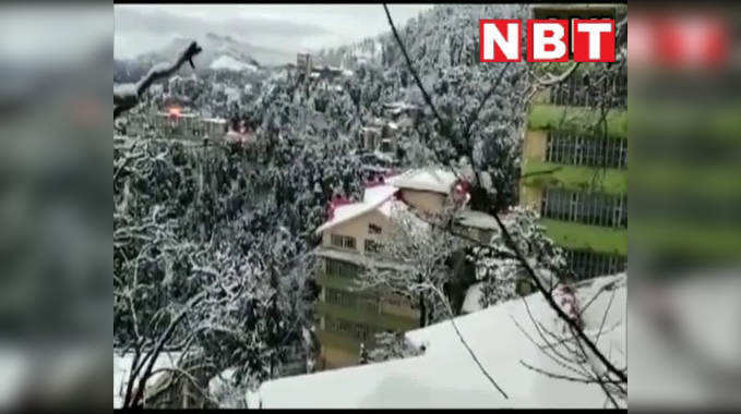 Shimla Snowfall Video: घर..गाड़ी..पेड़..हर तरफ़ बर्फ़ की चादर, शिमला में भारी बर्फ़बारी के बाद का नजारा 