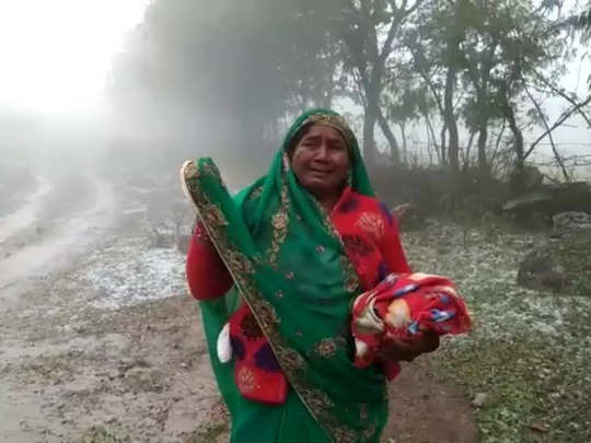 ओलों ने चूर कर दिया सपना, खेतों में बर्बादी का मंजर देख दहाड़ मारकर रोने लगी महिला किसान 