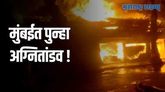 भायखळ्यात लाकडाच्या गोदामाला भीषण आग; १७ ते १८ दुकाने जळून खाक