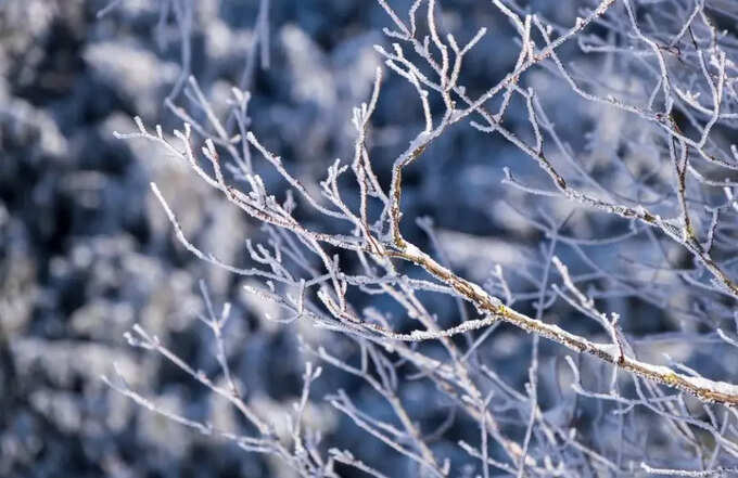 The 10 coldest places in the world, where the temperature drops to minus 30 degrees ... 4 ei samay