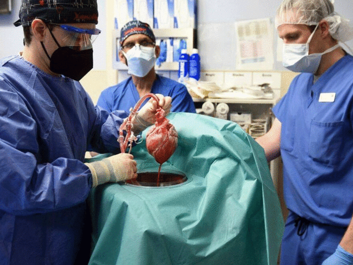 Pig Heart Transplant To Human: US Surgeons First Time Transplant Pig Heart  Into Human Patient In Maryland Hospital - अमेरिकी डॉक्टरों ने रचा इतिहास,  दुनिया में पहली बार इंसान के अंदर लगाया