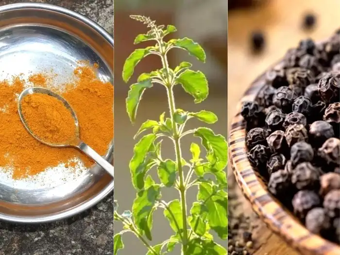 ये आयुर्वेदिक काढ़े सर्दी-बुखार दूर करने में है रामबाण, अभी पढ़े