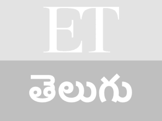 The Economic Times Telugu  - Business News