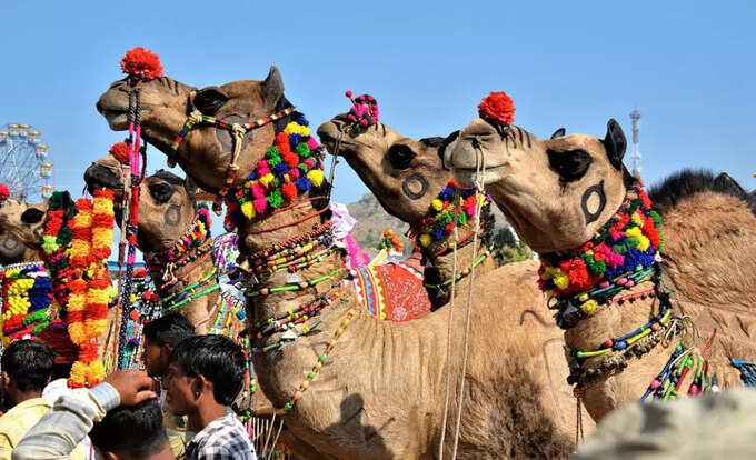 Have you ever been to these weird fairs in our country all year round? 2 ei samay