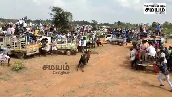 65 people were injured in the bull chase match held in sivagangai