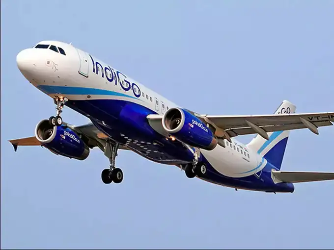 Indigo flight