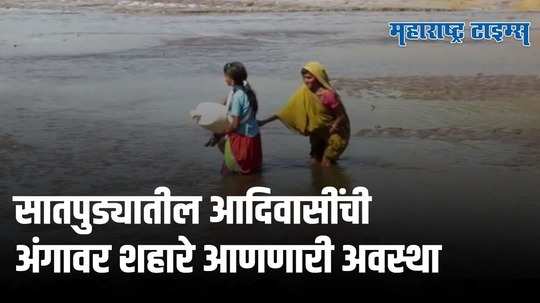 १५ वर्षांपासून पूल नाही, दररोज गुडघाभर चिखल आणि नर्मदा ओलांडून प्रवास