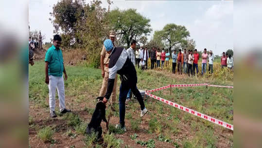 पहिल्यांदा काठीने मारहाण, नंतर डोक्यात दगड घातला, हिंगोलीत तरुणाचा निर्घृण खून