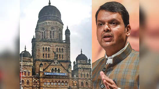 devendra fadnavis: मुंबई महापालिका निवडणुकीत भाजपचा स्वबळाचा नारा?; मनसेशी युती नाही