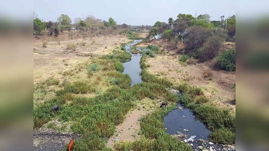 'कयाधूचे पाणी इतरत्र वळवल्यास हिंगोलीचे वाळवंट होईल'; सिंचन संघर्ष समितीने दिला 'हा' इशारा