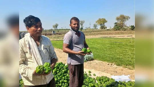 महिन्याला १ लाख ७५ हजार कमावणाऱ्या युवा शेतकऱ्याने सांगितलं यशाचं 'गुपित'