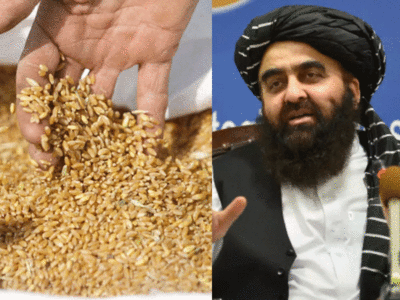 Pakistan India Wheat: भारत के गेहूं पर पाकिस्‍तान की अकड़ पड़ी ढीली, अफगानिस्‍तान जाने का रास्‍ता साफ 