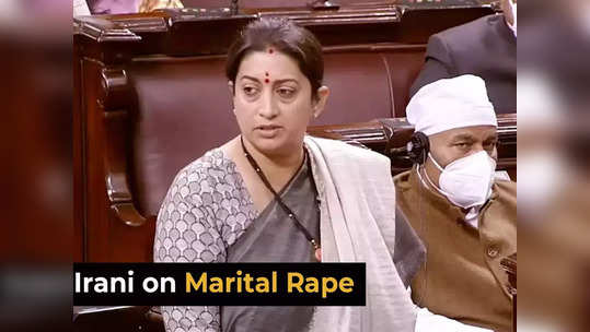 smriti irani : स्मृती इराणी संसदेत म्हणाल्या, 'प्रत्येक विवाहित पुरुषाला बलात्कारी...'