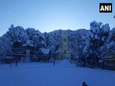 Snowfall in Shimla: ह‍िमाचल प्रदेश में रूई के फाहे की तरह आसमान से ग‍िरते बर्फ, देख‍िए खूबसूरत तस्‍वीरें 
