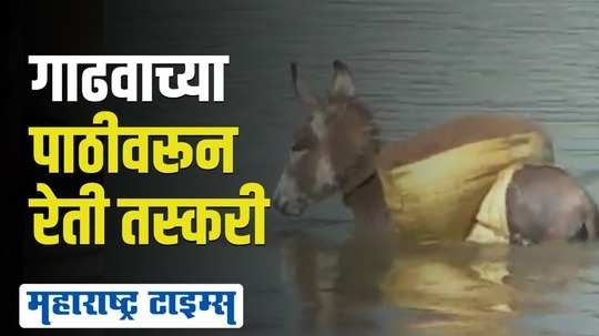 महसूल विभागापासून हाकेच्या अंतरावर गाढवांवरून होतेय रेती तस्करी