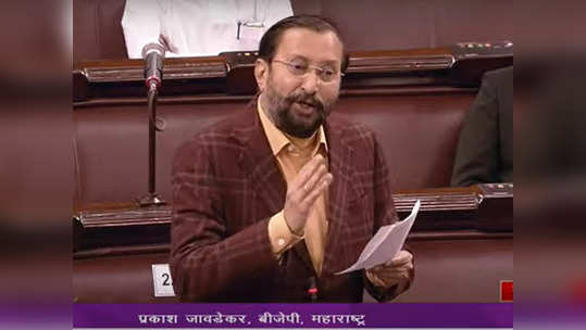 prakash javadekar : प्रकाश जावडेकर बरसले, '... आंबेडकरांना लोकसभेवर निवडून येण्यापासून कोणी रोखले?'