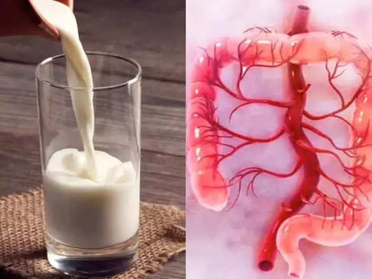 CDC के मुताबिक कभी न पिएं कच्चा दूध, आंतों को खोखला कर सकते हैं कच्चे दूध के ये 5 खतरनाक बैक्टीरिया 