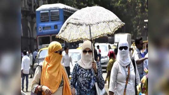 Weather Alert : उन्हाच्या झळा सोसायला तयार रहा, पुढच्या ३ दिवसांत हवामान खात्याकडून इशारा