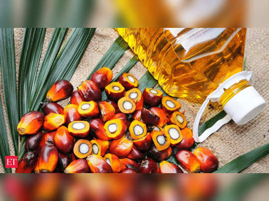 Crude Palm Oil: వినియోగదారులకు ఊరట, కీలక నిర్ణయం తీసుకున్న కేంద్రం 