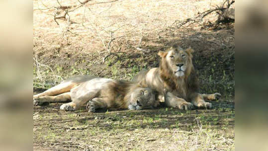 संरक्षण भिंतीसाठी बारा कोटींचा खर्च