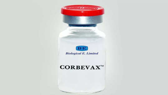 Corbevax: आता बारा वर्षांवरील मुलांचे लसीकरण?; कोर्बेव्हॅक्स लसबाबत सर्वात मोठी बातमी