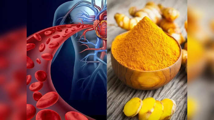 Blood thinner food : रक्त घट्ट झाल्यामुळे वाढतो ब्लड क्लॉट व हार्ट अटॅक सारख्या भयंकर आजारांचा धोका, रक्त पातळ करण्यासाठी खा ‘हे’ 5 स्वस्तातले पदार्थ..!