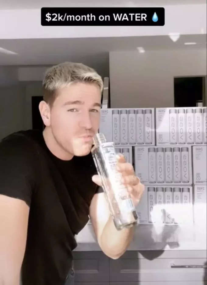 voss water