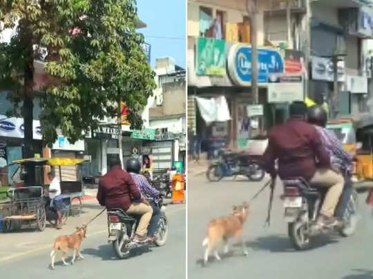 शर्मनाक! खुद बाइक पर बैठे, कुत्ते को पीछे-पीछे चलने के लिए किया मजबूर 