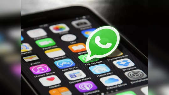 WhatsApp चे 'Safety in India' भारतात लाँच, युजर्सना असे ठेवणार ऑनलाइन सुरक्षित, पाहा डिटेल्स