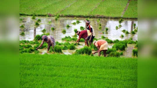 प्रधानमंत्री किसान सन्मान निधी योजना: उद्देश्य, लाभ अन् पात्रता भाग - २