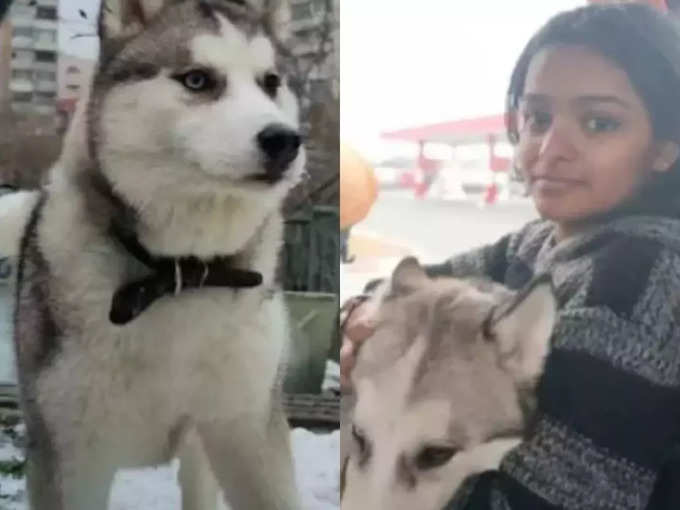 Russia-Ukraine war girl from kerala not leaving dog news in hindi